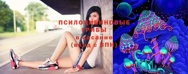 мдпв Верея
