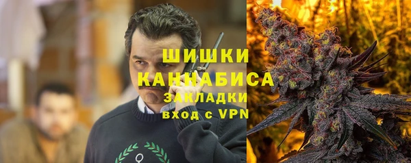 мдпв Верея