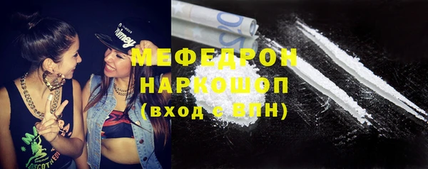 мдпв Верея